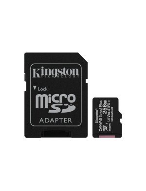 SDCS2/256GB 