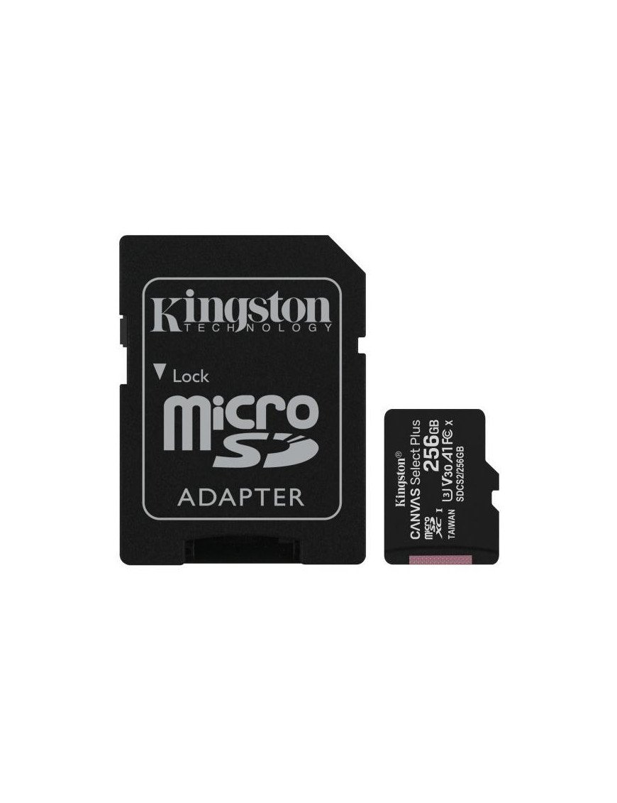 SDCS2/256GB 